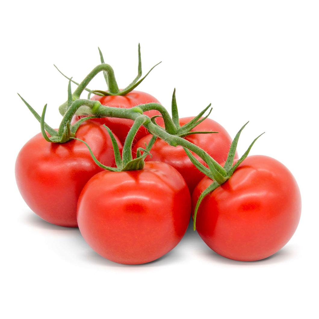 Strauchtomaten